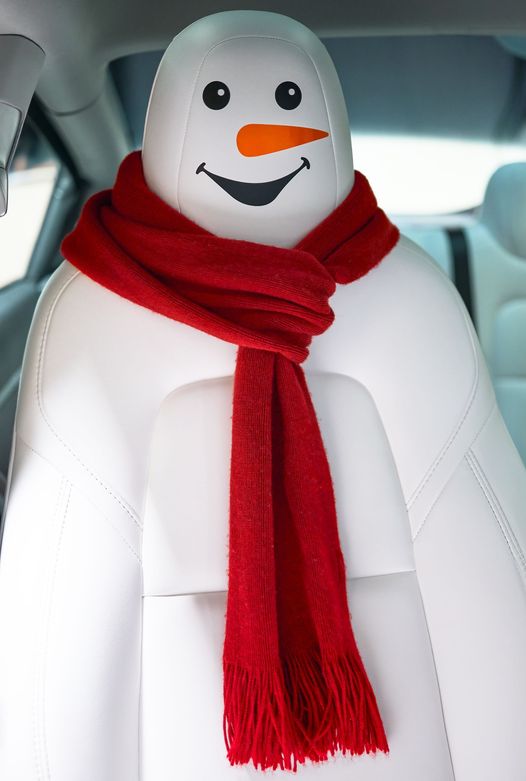 Tesla SnowMan Decals for Seats- Set of 2
