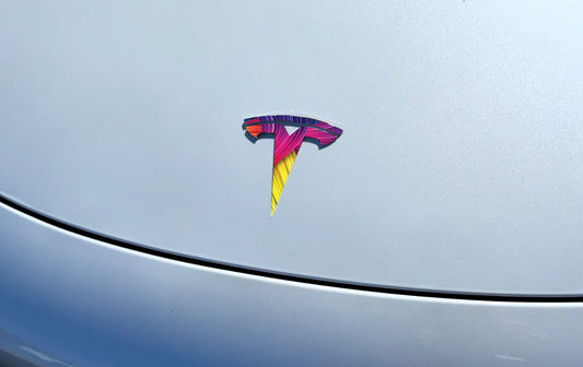 Layered Rainbow Tesla Emblem Decal for Model S,3,X,Y