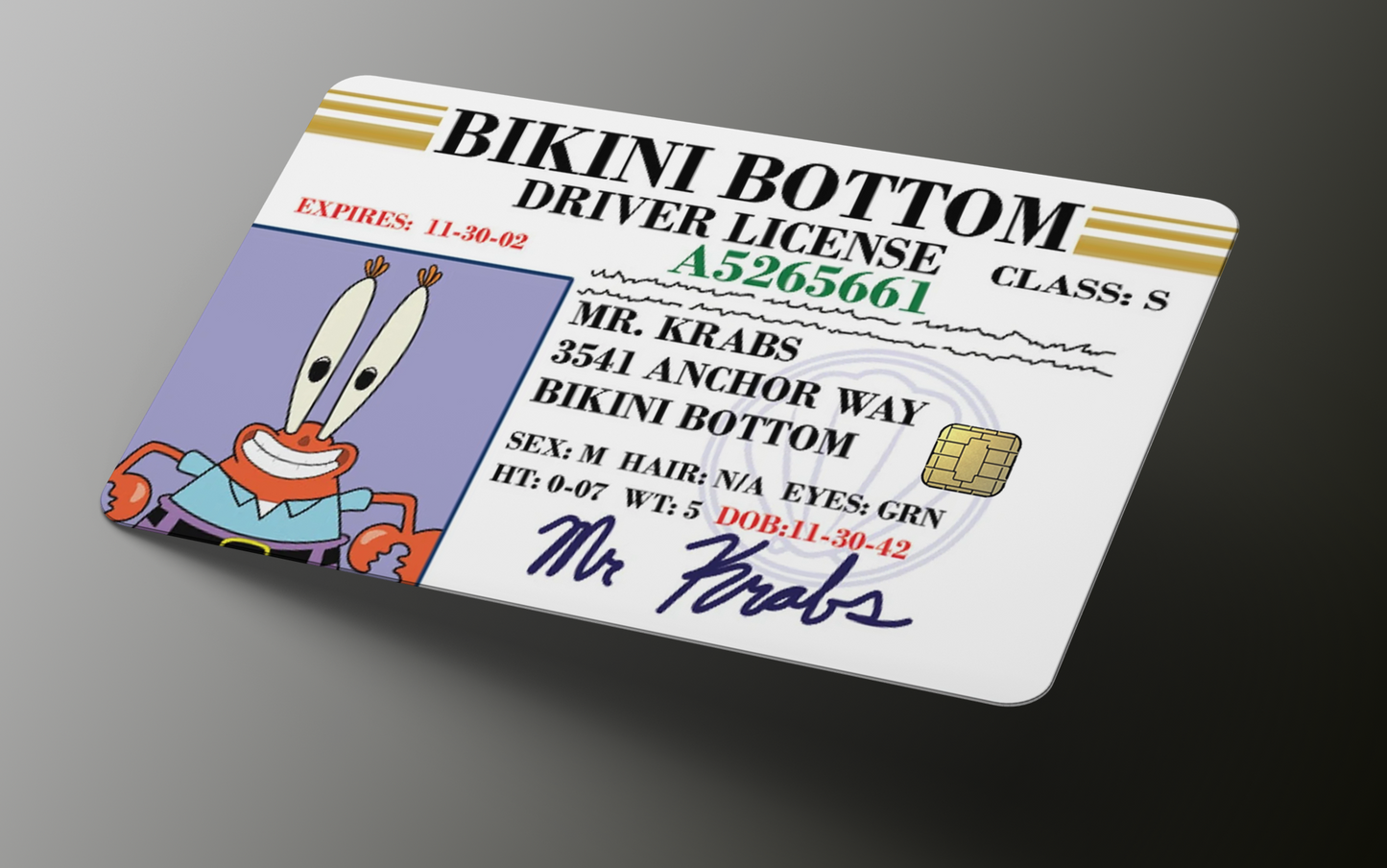 Sponge License | Debit Card Skin | Credit Card Skin | Card sticker (Small Chip)