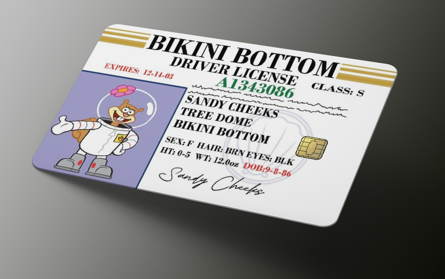 Sponge License | Debit Card Skin | Credit Card Skin | Card sticker (Small Chip)