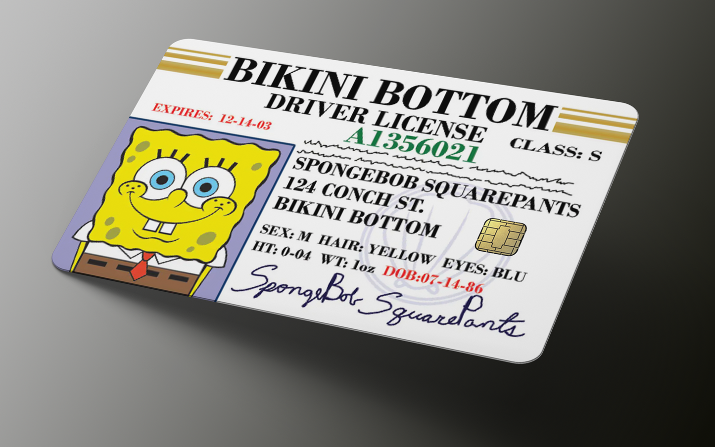 Sponge License | Debit Card Skin | Credit Card Skin | Card sticker (Small Chip)