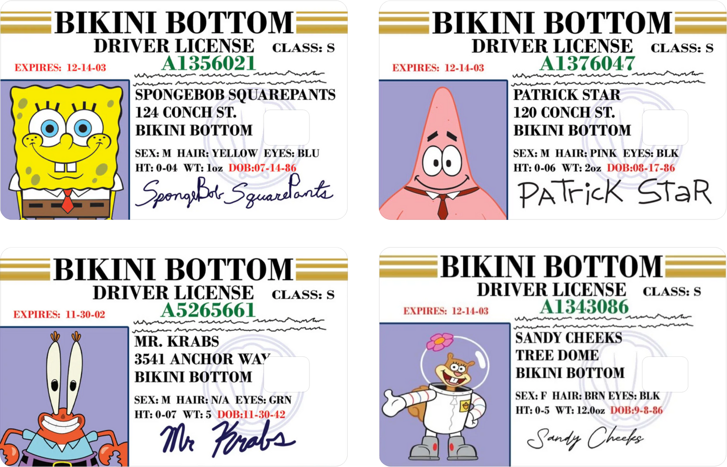 Sponge License | Debit Card Skin | Credit Card Skin | Card sticker (Small Chip)