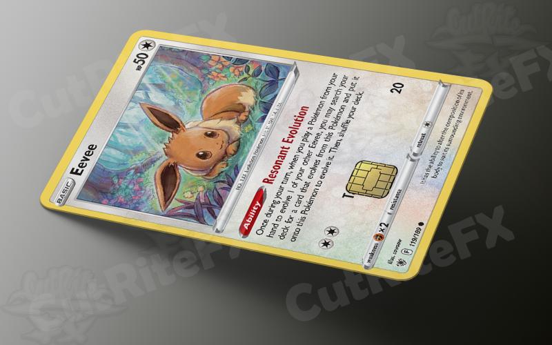 Custom Credit Card Skin