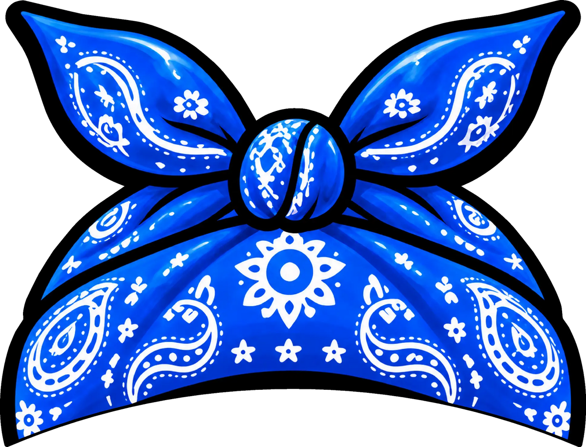 Bandana Decals for Tesla Emblems – Pair of 2