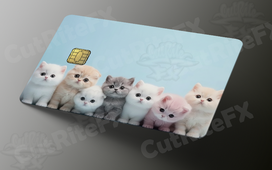 Purr-fect Plastics: Furry Friends for Your Finances!