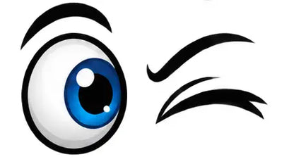 Funny Cartoon Eyes Decals – 6.5 Inch