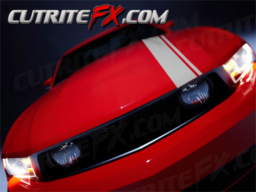 Mustang Custom Vinyl Racing Stripes