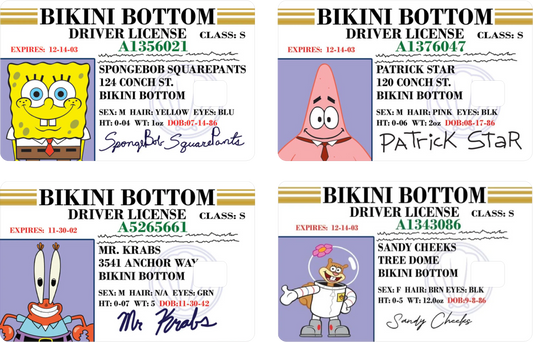 Spongebob License | Debit Card Skin | Credit Card Skin | Card sticker (Small Chip)