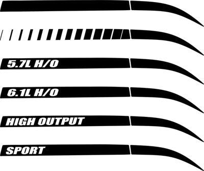 Dodge Charger Stinger Quarter Panel Stripes